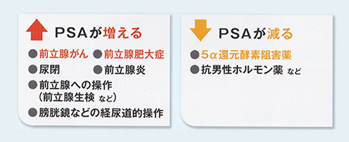 PSAが増える：前立腺がん・前立腺肥大症　PSAが減る：5α還元酵素阻害薬