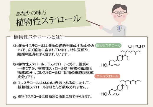 あなたの味方 植物性ステロール - 医療法人神楽岡泌尿器科 | 北海道旭川市