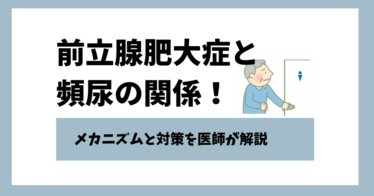 前立腺肥大症と頻尿の関係！メカニズムと対策を医師が解説
