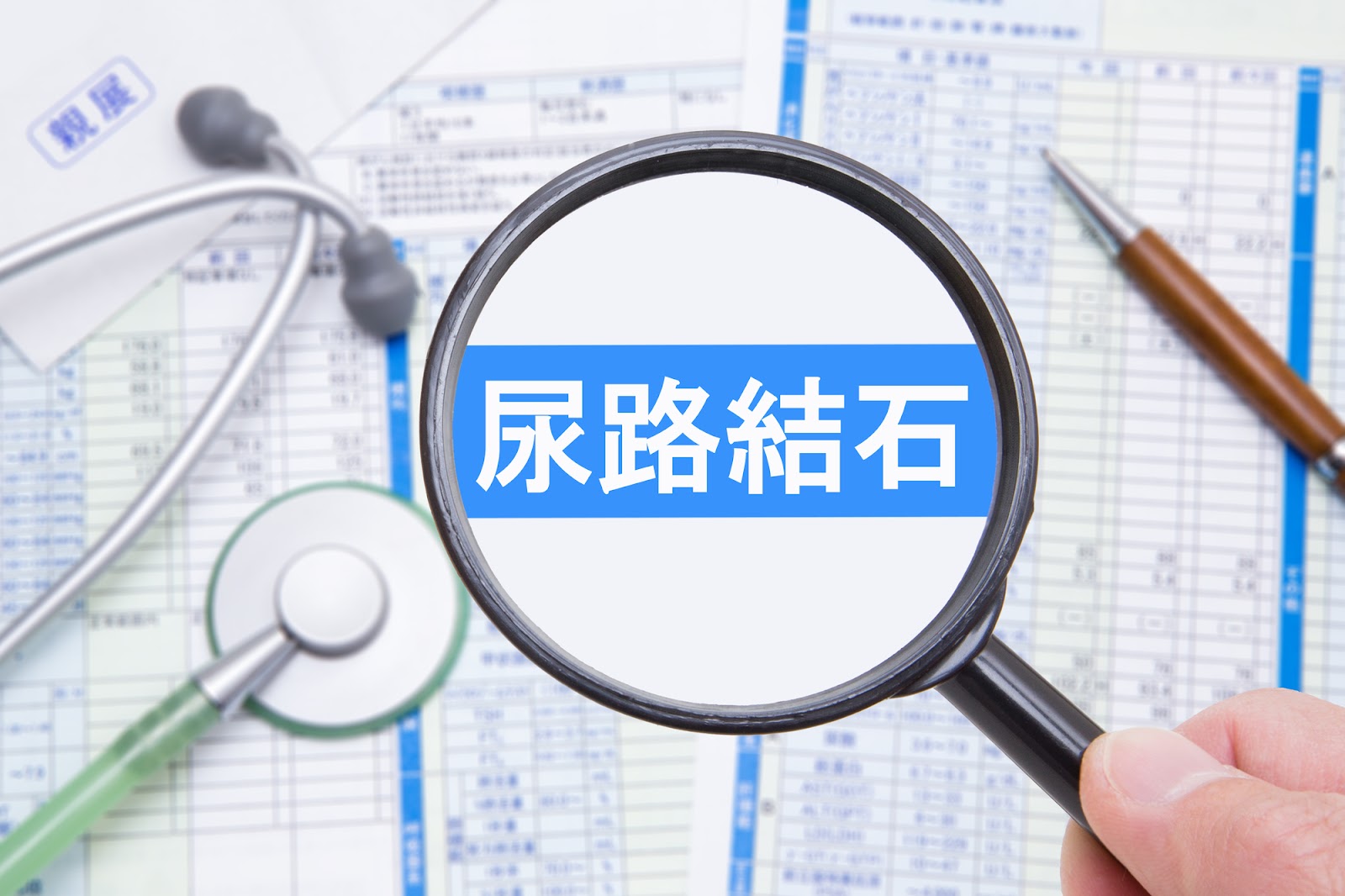 【裁断済】尿路結石症の外科的治療 Amazon.co.jp: 尿路結石症の外科的治療 : 井上 貴昭, 岡田 真介, 浜本
